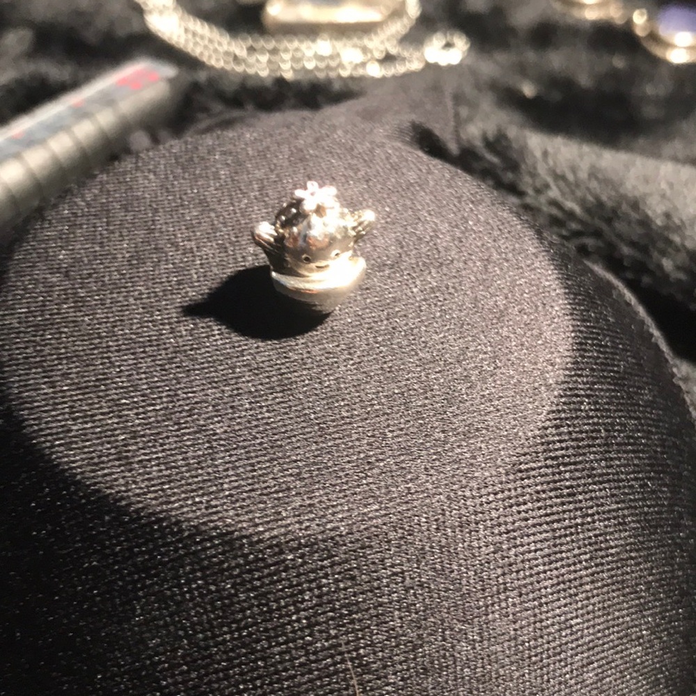Pandora Free Hugs Cactus charm